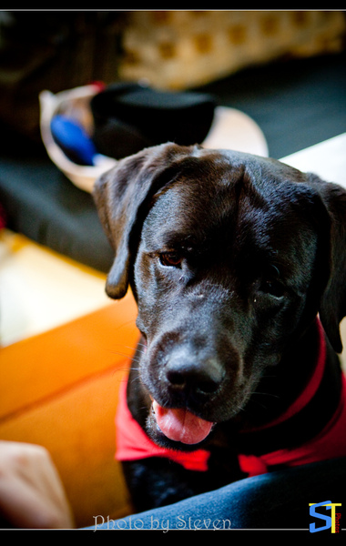 6O7C0744.jpg 6O7C0744.jpg