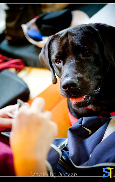 6O7C0745.jpg 6O7C0745.jpg