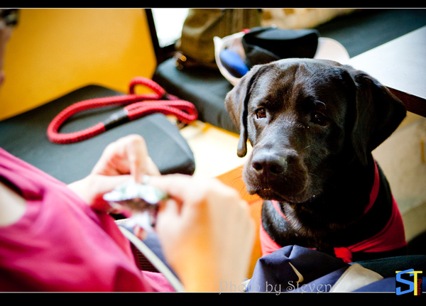 6O7C0746.jpg 6O7C0746.jpg