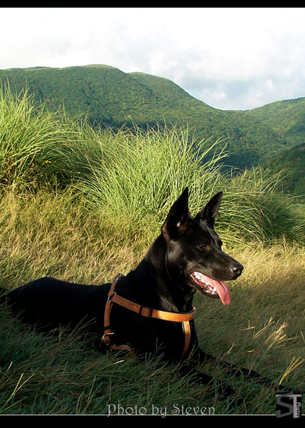 DSC01622.jpg DSC01622.jpg