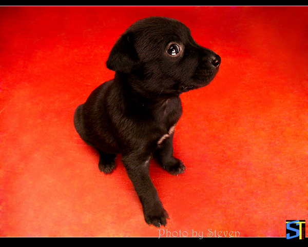 D58F4975.jpg D58F4975.jpg