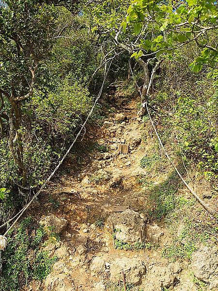 nEO_IMG_P5288592.jpg nEO_IMG_P5288592.jpg