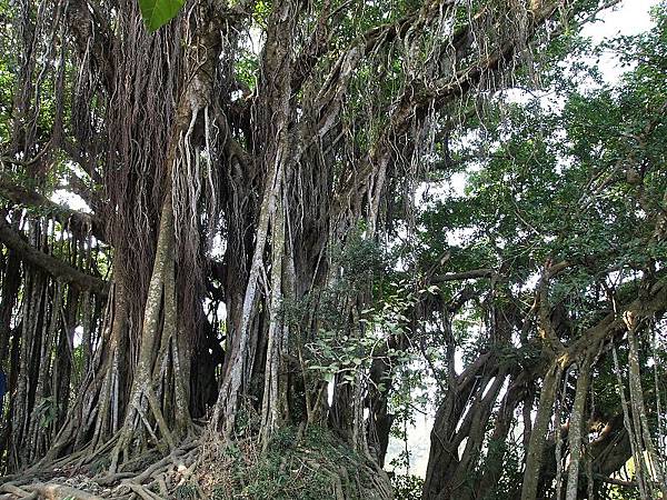 nEO_IMG_P3055516.jpg nEO_IMG_P3055516.jpg