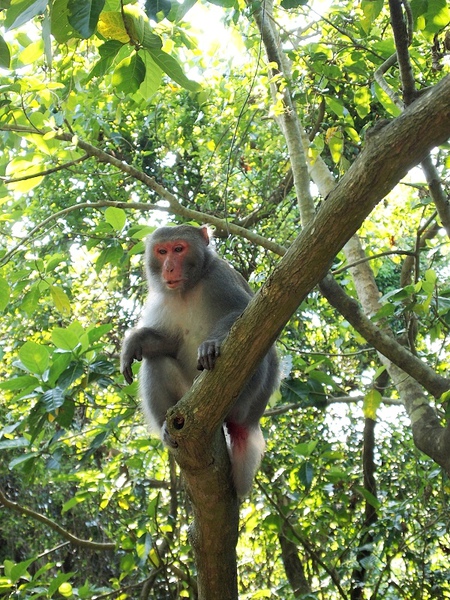 nEO_IMG_PA103041.jpg nEO_IMG_PA103041.jpg