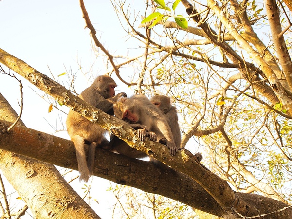 nEO_IMG_PC044307.jpg nEO_IMG_PC044307.jpg