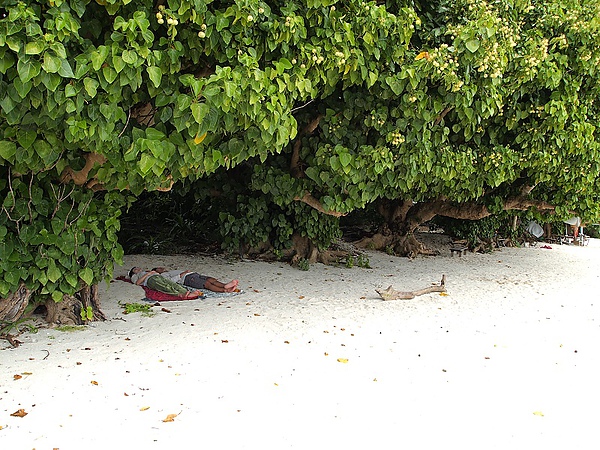 35.還有人直接躺在沙灘上睡覺.jpg 35.還有人直接躺在沙灘上睡覺.jpg