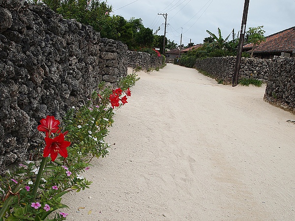 42.竹富島的街道,路上都是鋪海沙.jpg