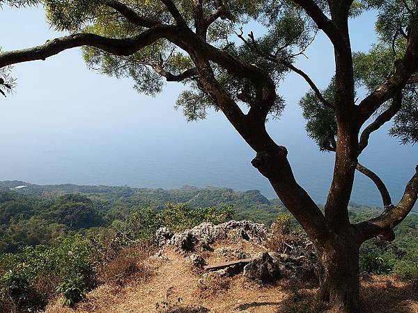 nEO_IMG_P3055556.jpg nEO_IMG_P3055556.jpg