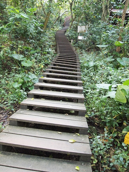 nEO_IMG_PA103054.jpg nEO_IMG_PA103054.jpg