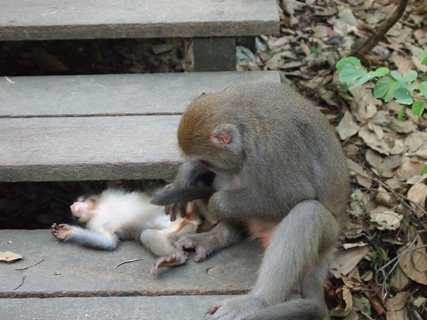 nEO_IMG_PA103080.jpg nEO_IMG_PA103080.jpg