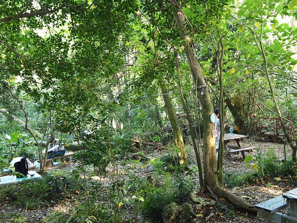 nEO_IMG_PA103062.jpg nEO_IMG_PA103062.jpg