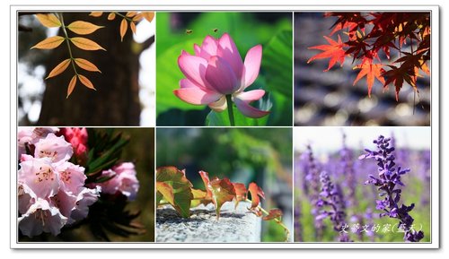 YX00SLYPComLKAprDza0Dg