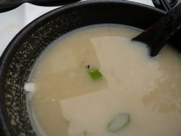 P1060678_調整大小.jpg