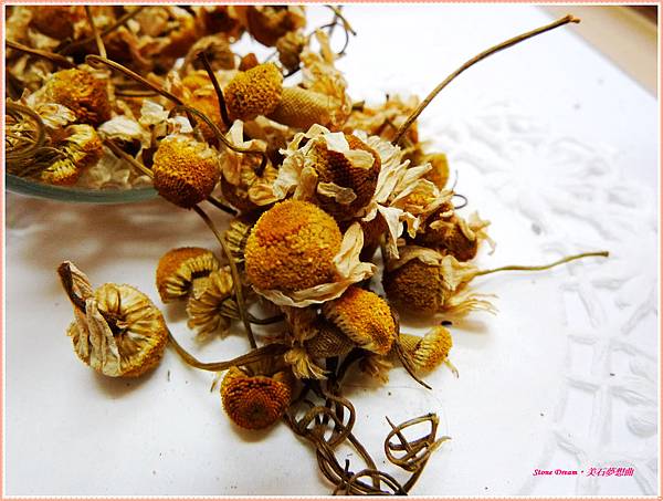 洋甘菊.jpg 洋甘菊.jpg