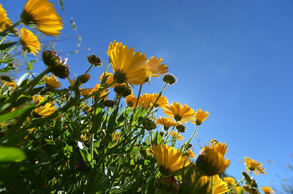 150a0cf83d6b21.jpg 150a0cf83d6b21.jpg