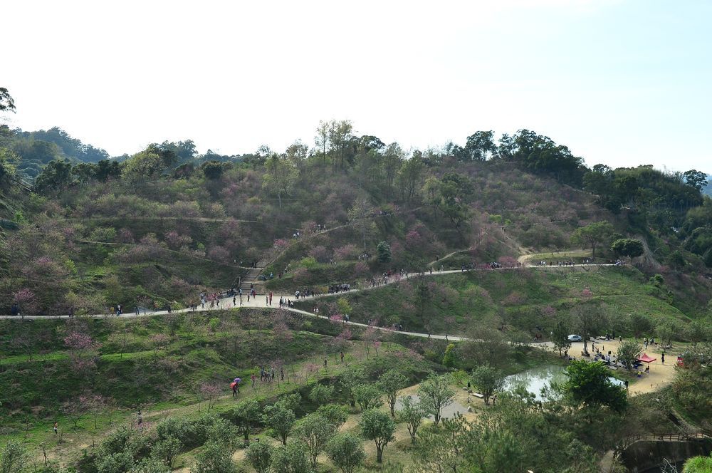 151219de565e0f.jpg 151219de565e0f.jpg