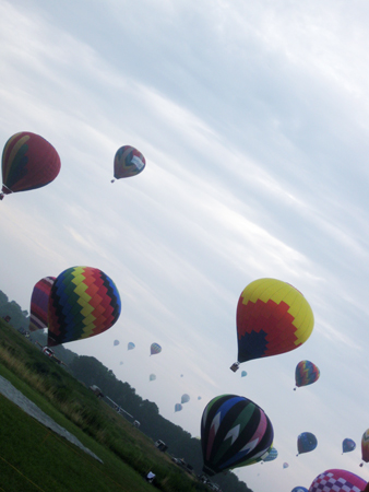 IMG_3436.JPG IMG_3436.JPG