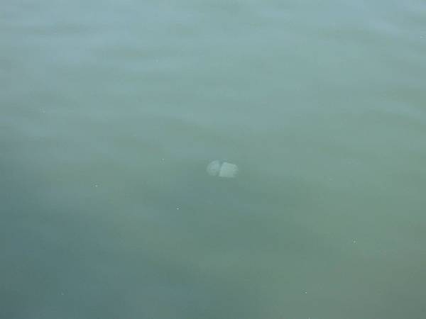 10269095_778176675526966_4236709644671147622_o 10269095_778176675526966_4236709644671147622_o