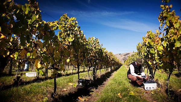 CB_Vineyards_Barracks_Worker (Native) [MHISWF011203 Revision-1]