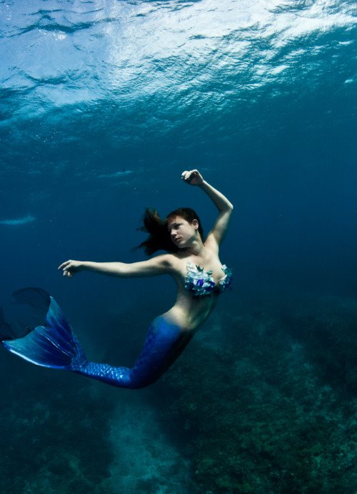 599263_367633463303373_266673033_n 599263_367633463303373_266673033_n