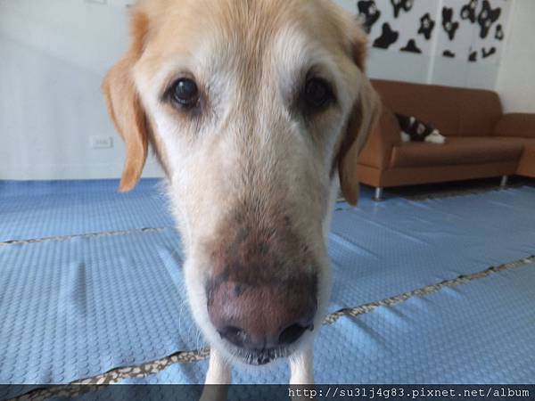 DSCF9067 DSCF9067