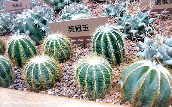 未來館_23.jpg 未來館_23.jpg