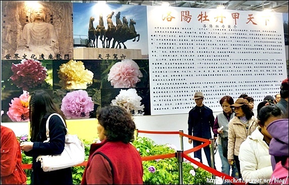 35.jpg 35.jpg