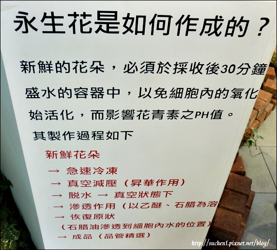 未來館_15.jpg 未來館_15.jpg