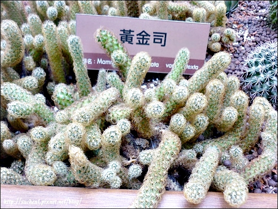 未來館_22.jpg 未來館_22.jpg
