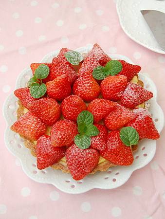 DSC_4100.JPG DSC_4100.JPG