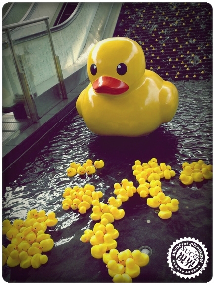 2013-10-17 14.05.jpg 2013-10-17 14.05.jpg