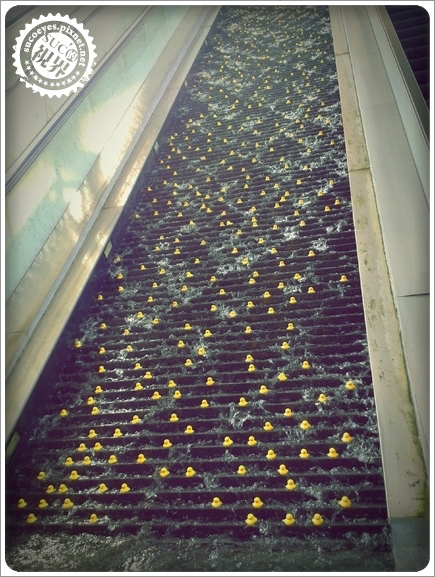 2013-10-17 14.13.jpg 2013-10-17 14.13.jpg