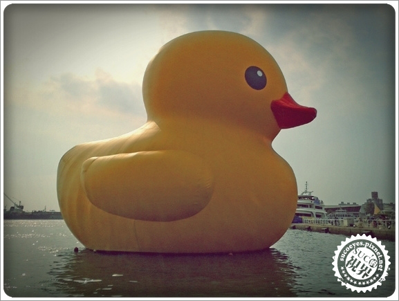 2013-10-17 14.55.jpg 2013-10-17 14.55.jpg