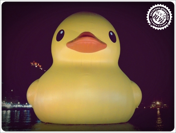 2013-10-17 18.30.jpg 2013-10-17 18.30.jpg