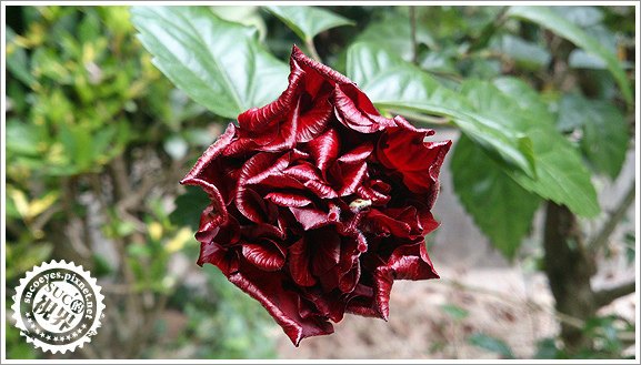 16比9遠近景深效果2拷貝.jpg 16比9遠近景深效果2拷貝.jpg