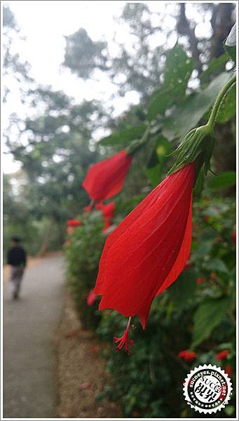 16比9遠近景深效果1拷貝.jpg 16比9遠近景深效果1拷貝.jpg