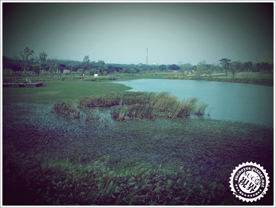 6 拷貝.JPG 6 拷貝.JPG