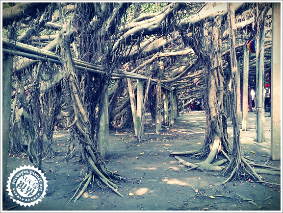 0拷貝.jpg 0拷貝.jpg