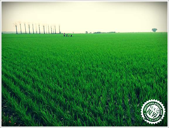 2拷貝.jpg 2拷貝.jpg