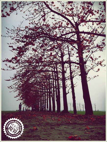 3拷貝.jpg 3拷貝.jpg