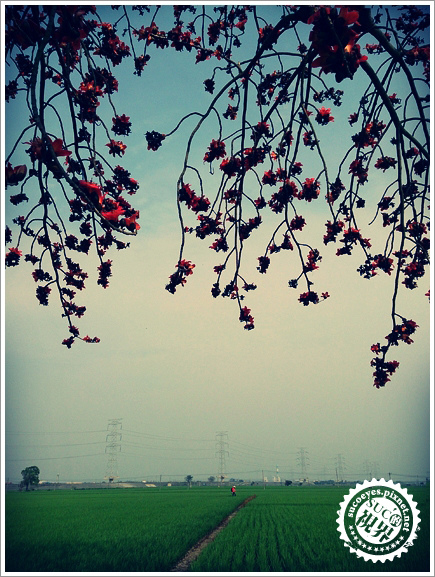 4拷貝.jpg 4拷貝.jpg