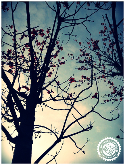 5拷貝.jpg 5拷貝.jpg