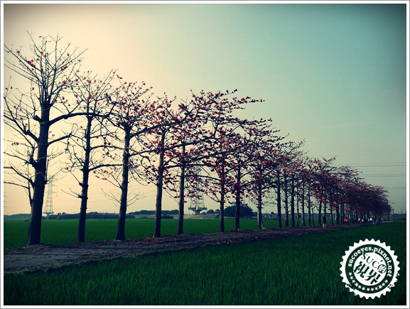 6拷貝.jpg 6拷貝.jpg