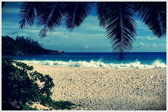 海灘1 (8).jpg 海灘1 (8).jpg