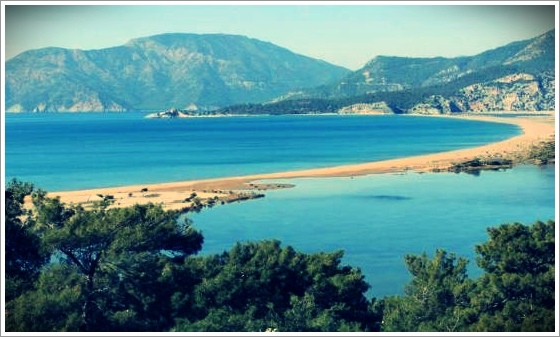 海灘1 (9).jpg 海灘1 (9).jpg