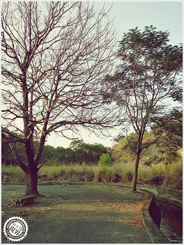 12拷貝.jpg 12拷貝.jpg