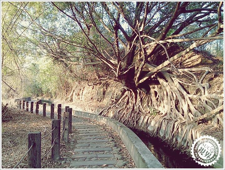 14拷貝.jpg 14拷貝.jpg