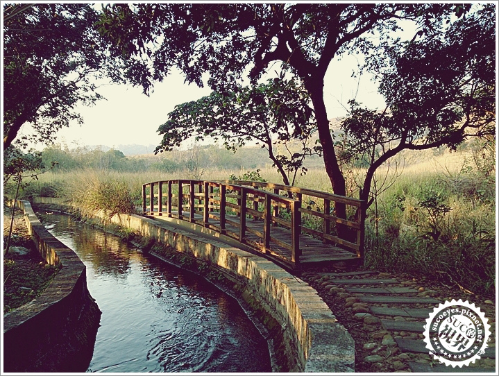 17拷貝.jpg 17拷貝.jpg