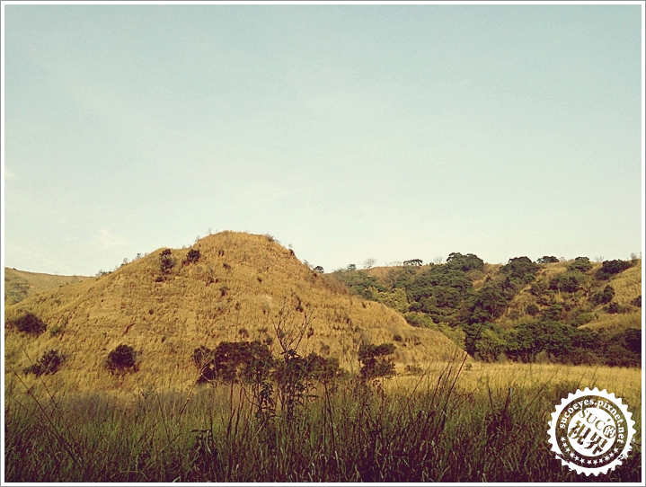 18拷貝.jpg 18拷貝.jpg