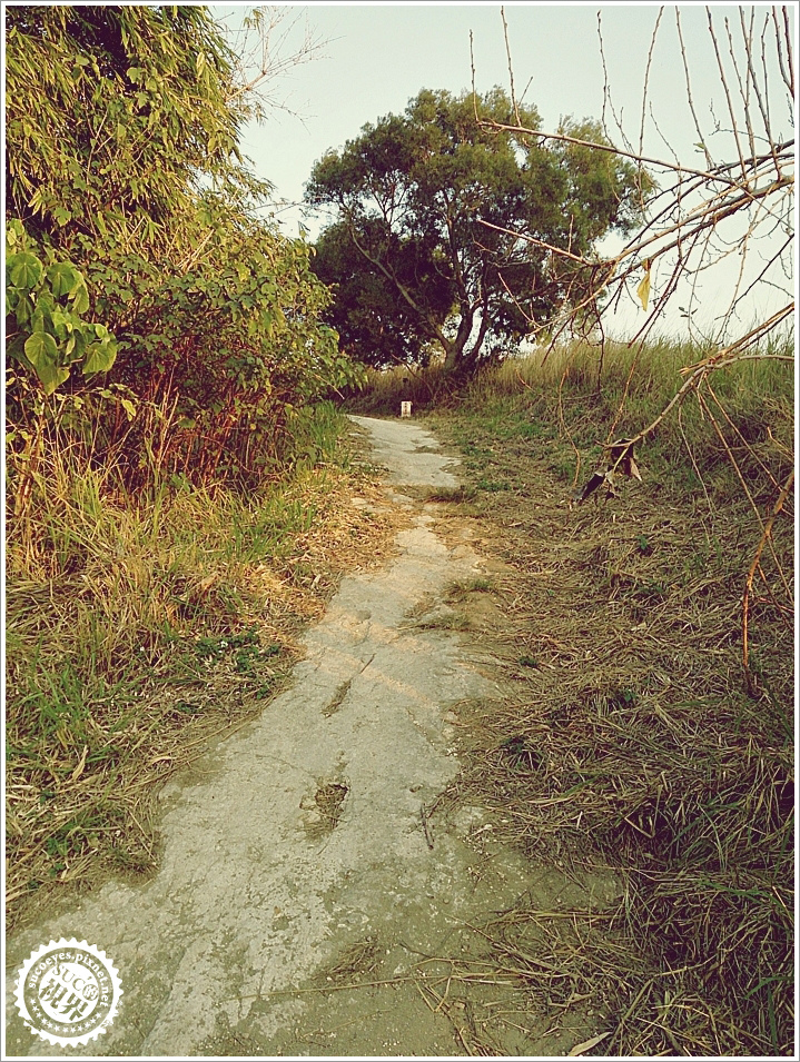 19拷貝.jpg 19拷貝.jpg